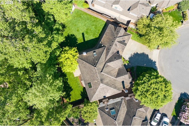 drone / aerial view