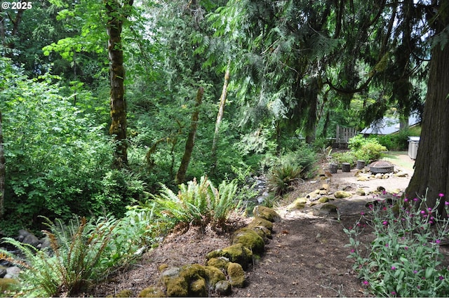89016 Bridge St, Springfield, OR 97478 - view of yard featuring an outdoor fire pit