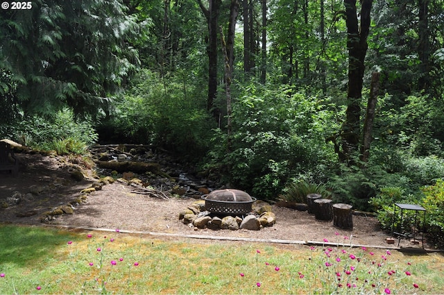 89016 Bridge St, Springfield, OR 97478 - view of yard with a fire pit and a view of trees