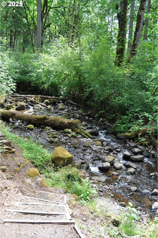 89016 Bridge St, Springfield, OR 97478 - view of tree filled area