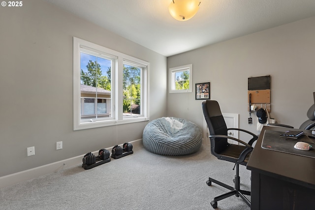 carpeted home office with baseboards