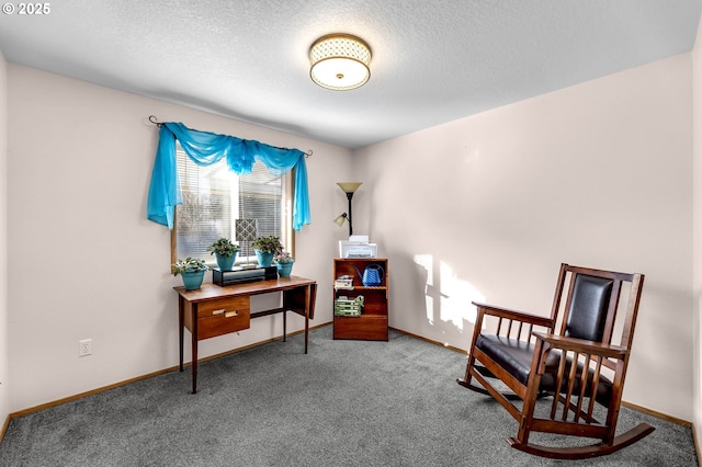 sitting room with carpet, a textured ceiling, and baseboards