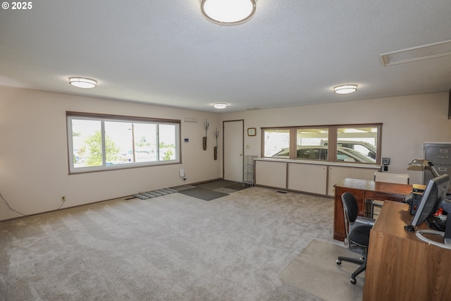 383 Little Valley Rd, Roseburg, OR 97471 - office featuring a textured ceiling and carpet floors