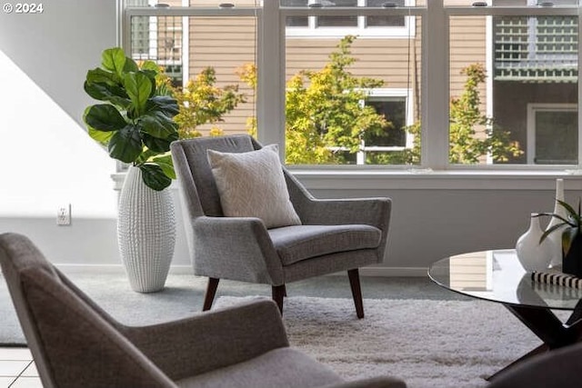 1710 S Harbor Way Unit C405, Portland, OR 97201 - sunroom with healthy amount of natural light