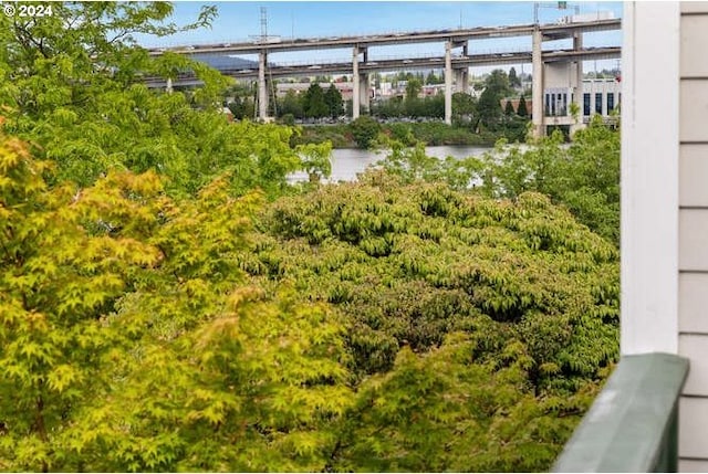 1710 S Harbor Way Unit C405, Portland, OR 97201 - view of yard featuring a water view