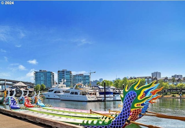 dock area featuring a water view