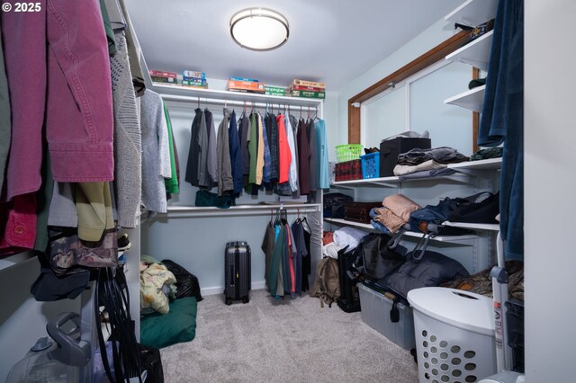 15928 N Umpqua Hwy, Roseburg, OR 97470 - spacious closet with carpet flooring