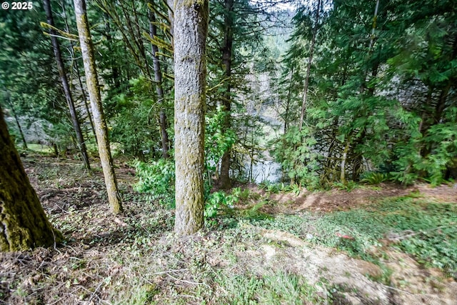 view of landscape featuring a forest view