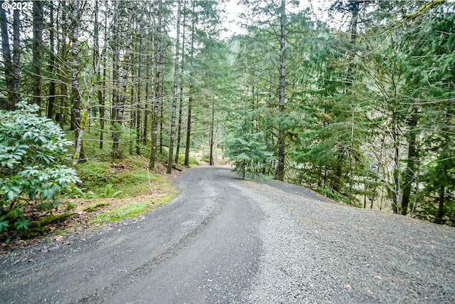 view of street with a forest view