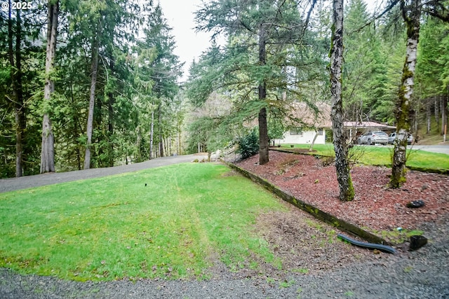 view of yard featuring driveway