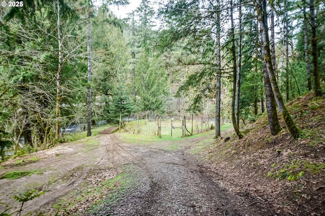 view of dirt / gravel road featuring a view of trees