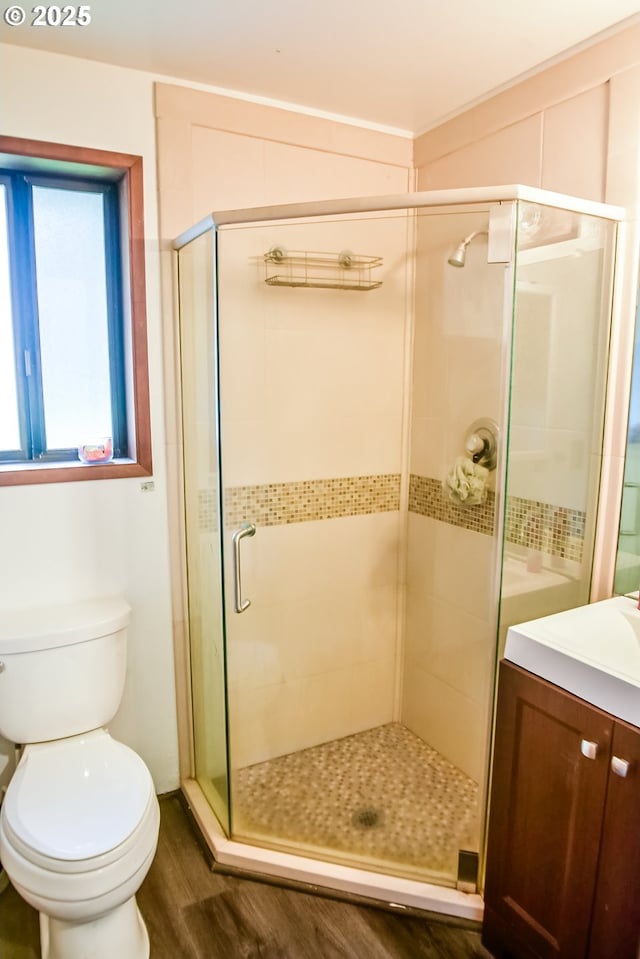 bathroom with toilet, a stall shower, wood finished floors, and vanity