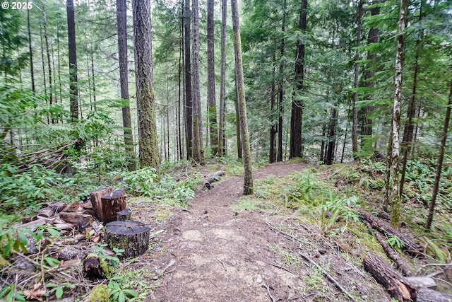 view of local wilderness featuring a view of trees