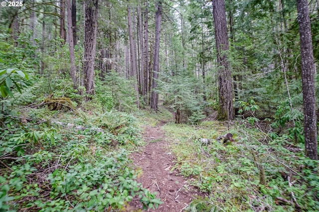 view of landscape featuring a view of trees