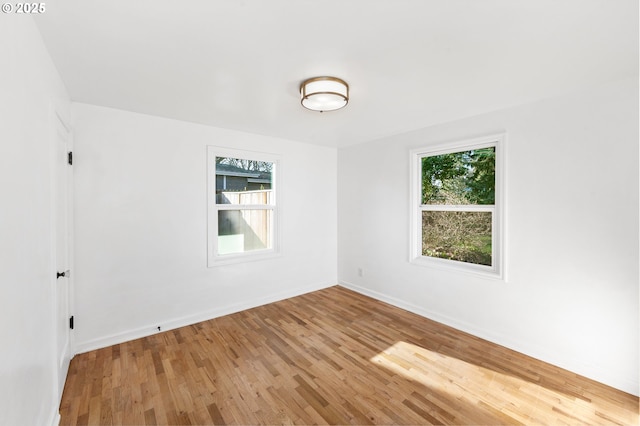 spare room featuring wood-type flooring and a wealth of natural light