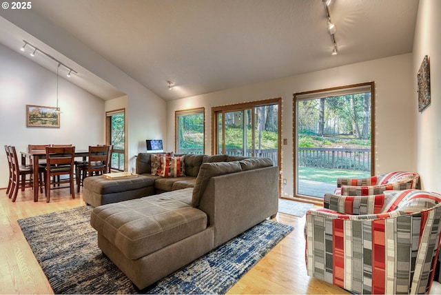 living room featuring track lighting, vaulted ceiling, light wood finished floors, and a wealth of natural light