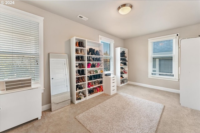 spacious closet with light colored carpet