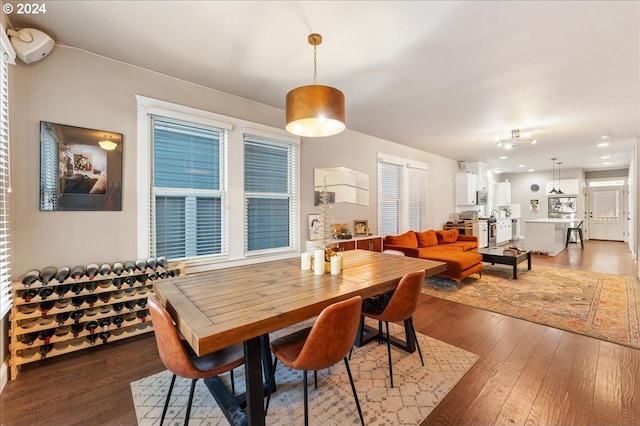 dining room with dark hardwood / wood-style floors