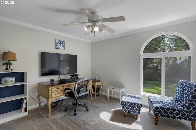 office area featuring a wealth of natural light, carpet, and ornamental molding