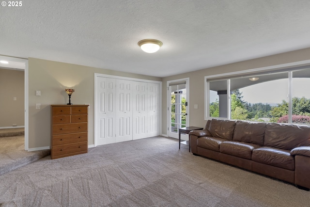 living area featuring baseboards, carpet floors, and a textured ceiling