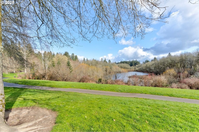 view of community with a lawn and a water view