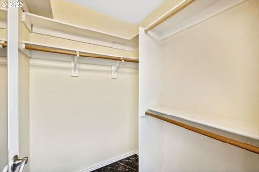 5364 Rosewood St, Lake Oswego, OR 97035 - view of spacious closet