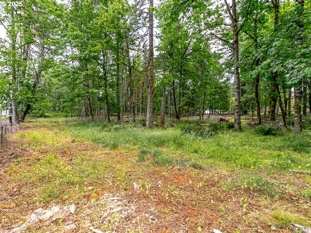 view of local wilderness featuring a wooded view