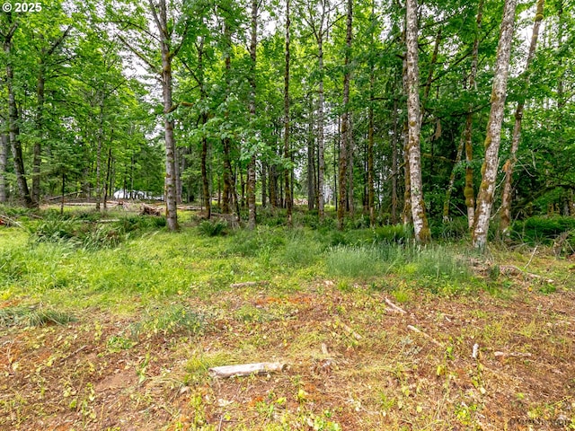 view of local wilderness featuring a forest view