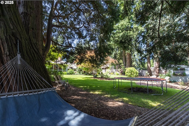 5339 SE Chase Rd, Gresham, OR 97080 - view of yard featuring a trampoline