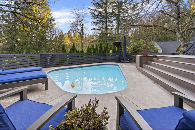 view of swimming pool featuring a patio area