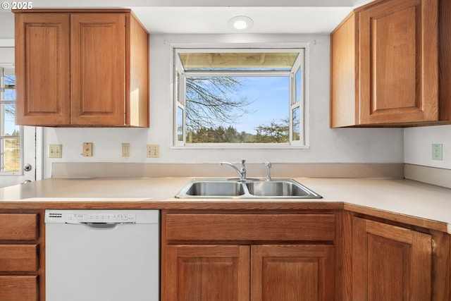 kitchen featuring white dishwasher and sink