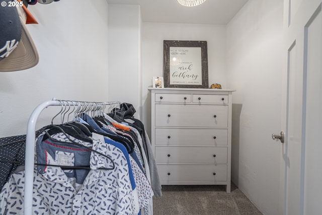 1366 Cramner St, Lafayette, OR 97127 - spacious closet featuring dark carpet