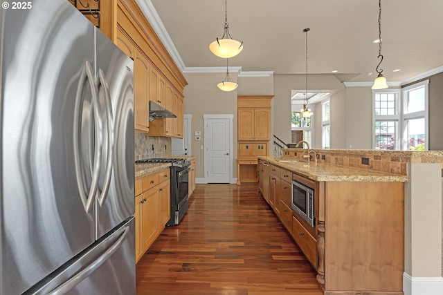 kitchen with stainless steel appliances, crown molding, dark wood-style flooring, a sink, and tasteful backsplash