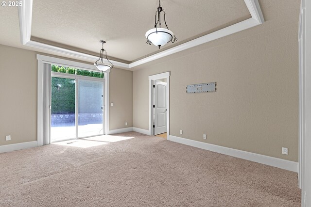 empty room with a raised ceiling, light colored carpet, baseboards, and a textured ceiling