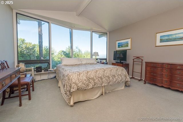 bedroom featuring multiple windows, carpet floors, and vaulted ceiling with beams