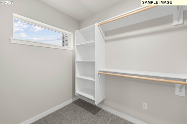 spacious closet with dark carpet