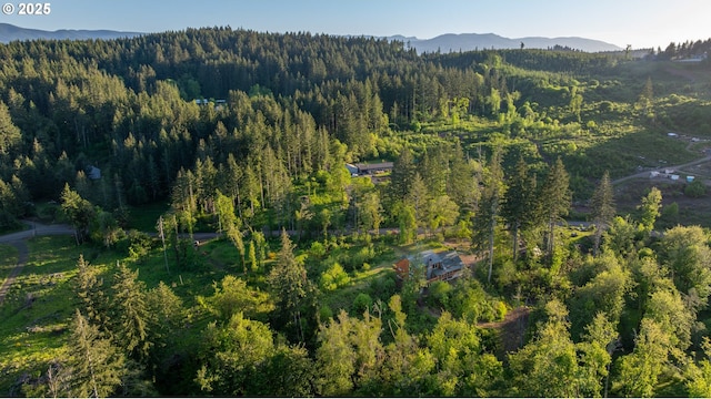 birds eye view of property with a mountain view