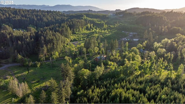 bird's eye view featuring a mountain view