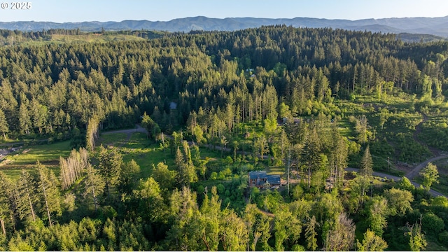 bird's eye view featuring a mountain view