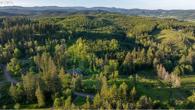 drone / aerial view featuring a mountain view