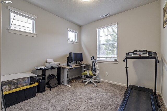 30942 NW Turel Dr, North Plains, OR 97133 - carpeted office featuring baseboards