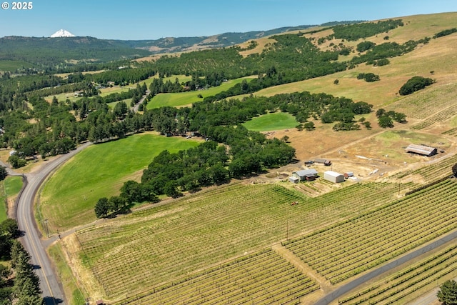 5073 Chenoweth Rd, The Dalles, OR 97058 - overview of rural landscape with mountains and large plots for crops