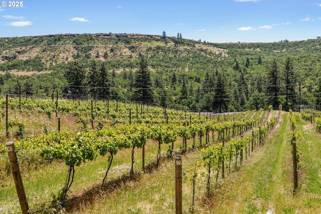 5073 Chenoweth Rd, The Dalles, OR 97058 - view of mountain background featuring rural landscape