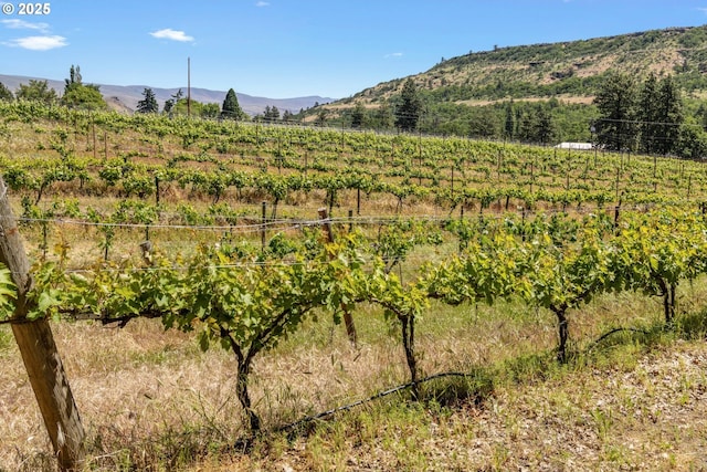 5073 Chenoweth Rd, The Dalles, OR 97058 - mountain view featuring rural landscape
