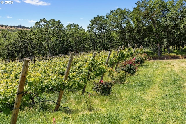 5073 Chenoweth Rd, The Dalles, OR 97058 - view of wooded area