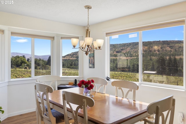 5073 Chenoweth Rd, The Dalles, OR 97058 - dining area with healthy amount of natural light, a chandelier, a mountain view, and wood finished floors