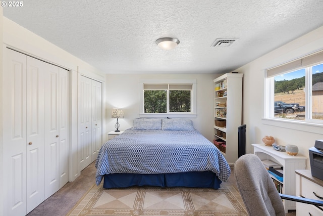 5073 Chenoweth Rd, The Dalles, OR 97058 - carpeted bedroom with multiple windows, two closets, and a textured ceiling