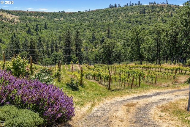5073 Chenoweth Rd, The Dalles, OR 97058 - view of mountain background featuring a forest