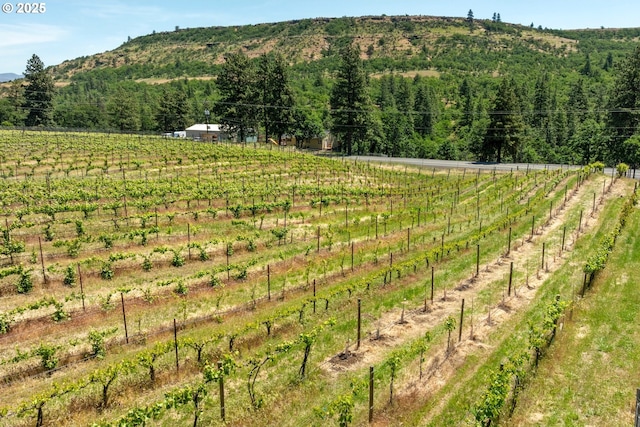 5073 Chenoweth Rd, The Dalles, OR 97058 - mountain view with rural landscape and rows of crops