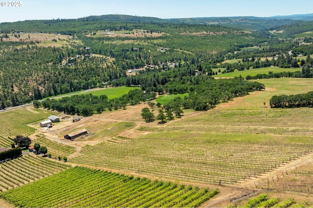 5073 Chenoweth Rd, The Dalles, OR 97058 - overview of rural landscape featuring rows of crops and a mountainous background